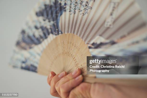 japanese fan - éventail photos et images de collection