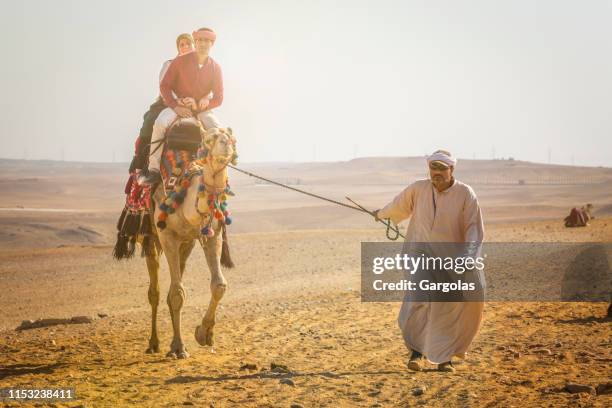 egyptian bedouin and camels in cairo, egypt - saqqara stock pictures, royalty-free photos & images