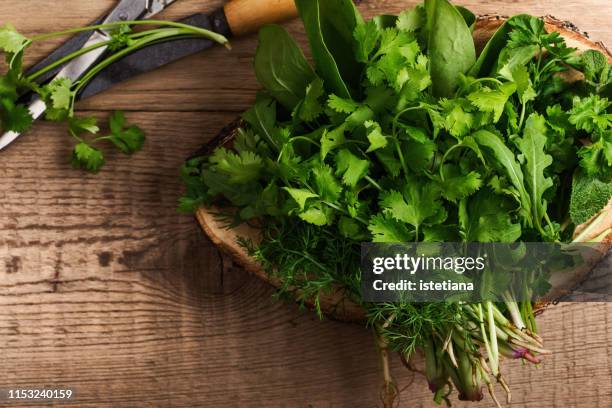 organic culinary and aromatic herbs - koriander stockfoto's en -beelden