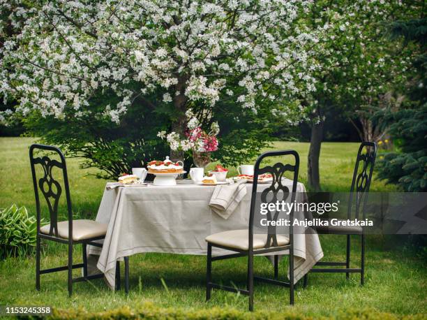 afternoon tea in the garden. garden party - afternoon tea party stock pictures, royalty-free photos & images