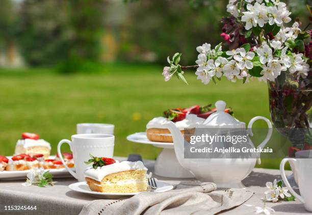 afternoon tea in the garden. garden party - hora do chá imagens e fotografias de stock