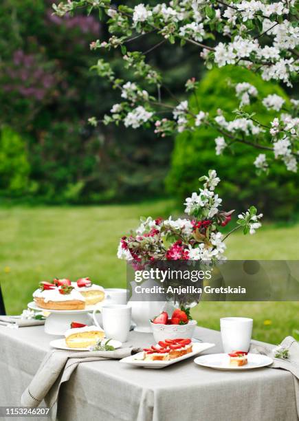 afternoon tea, cakes and bruschetta with ricotta and strawberry in the garden. - cake table stock pictures, royalty-free photos & images