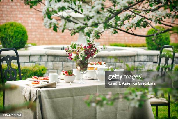 afternoon tea in the garden. garden party - afternoon tea party stock pictures, royalty-free photos & images