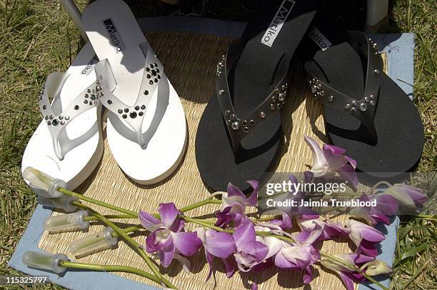 Jennifer Kaufman during Cabana Pre-MTV Movie Awards Beauty Buffet - Day Two at Private Residence in Hollywood, California, United States.