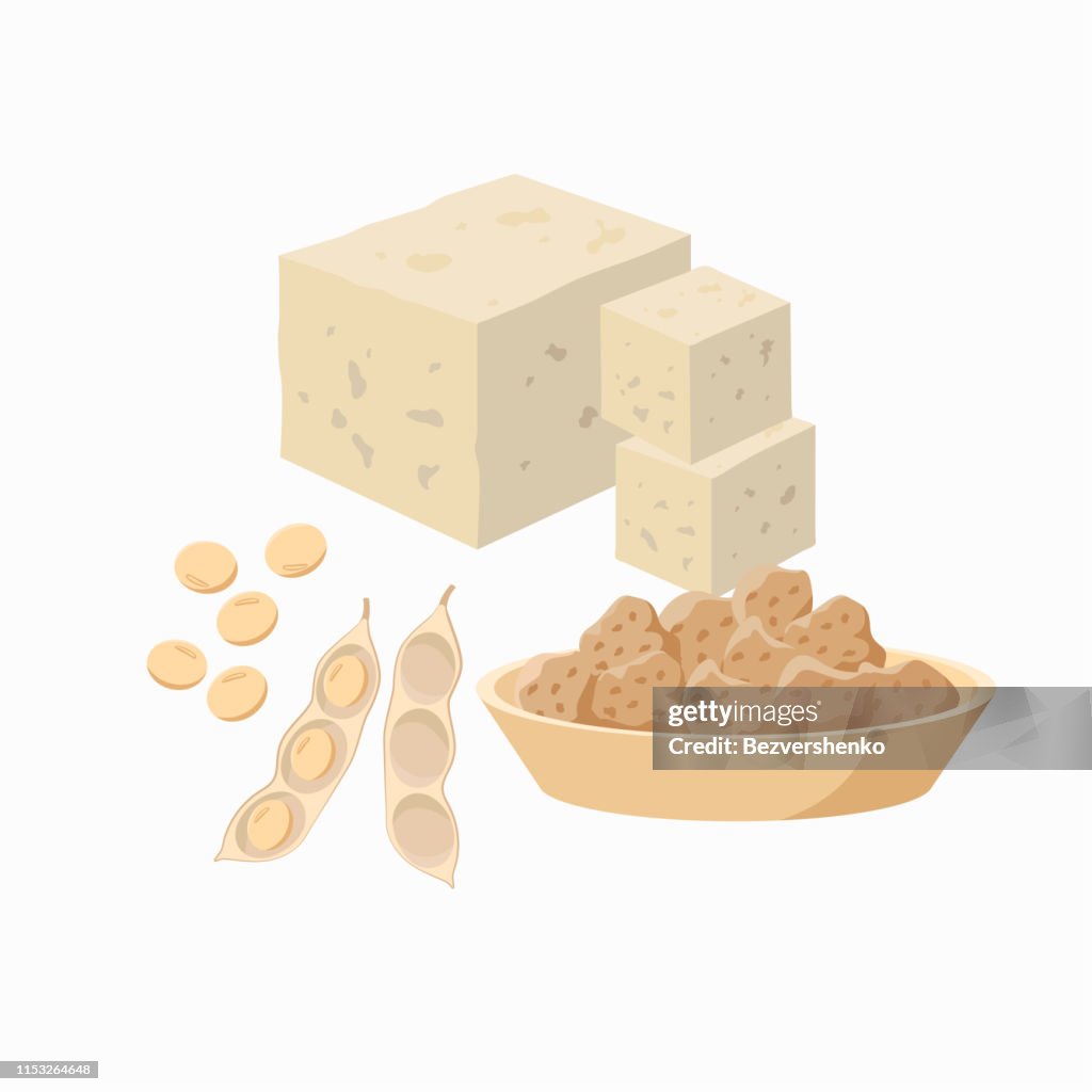 Tofu and soy bean pod with soy seeds and soy meat in the plate isolated on white background. Vector illustration in flat design.