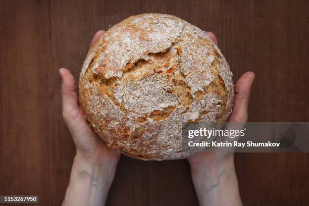 dutch oven no knead whole wheat bread with sunflower seeds - loaf of bread stock-fotos und bilder
