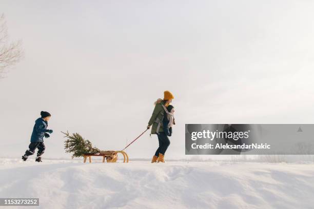 christmas tree for my family - family snow stock pictures, royalty-free photos & images