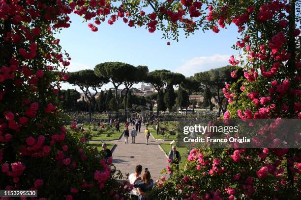 Rose Graden Rome 135 Rome Rose Garden Stock Photos, High-Res Pictures, and Images ...