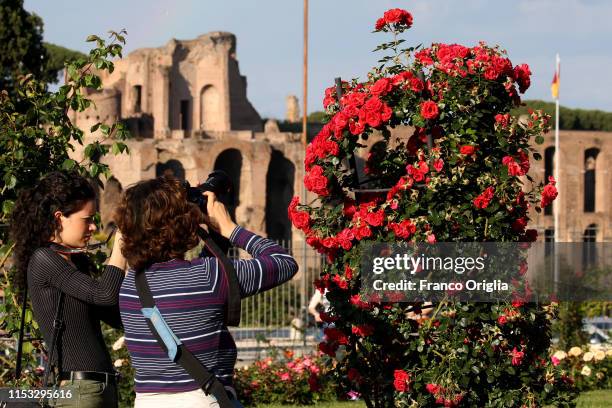 Rose Graden Rome 166 Rome Rose Garden Stock Photos, High-Res Pictures, and Images ...