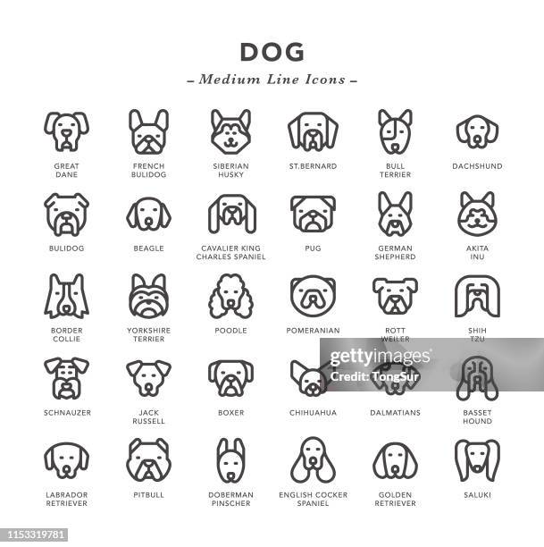 ilustraciones, imágenes clip art, dibujos animados e iconos de stock de dog-iconos de línea media - perro