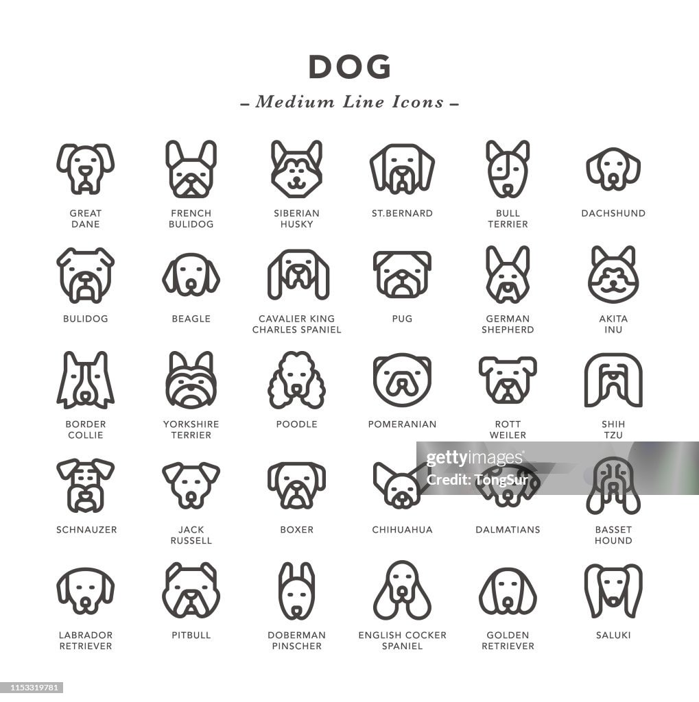 Dog - Medium Line Icons