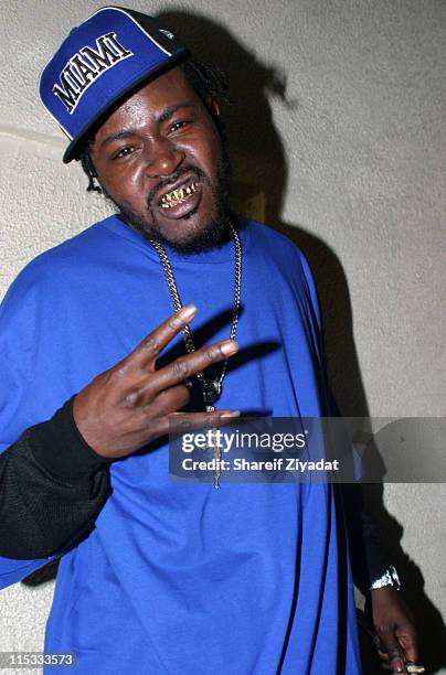 Trick Daddy during Joint Chief's Concert At The Apollo - November 23, 2004 at Apollo in New York, United States.