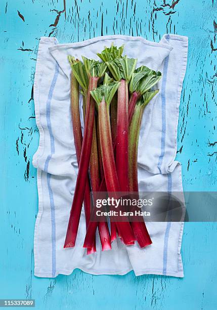 fresh rhubarb and strawberry tart - rabarber stockfoto's en -beelden