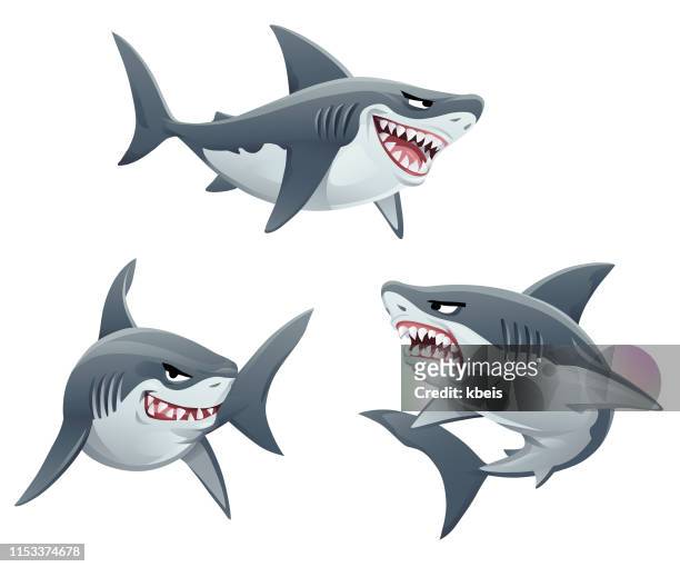 stockillustraties, clipart, cartoons en iconen met haaien - cartoon shark