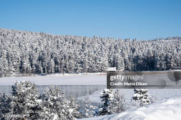 abant - abant turkey stockfoto's en -beelden