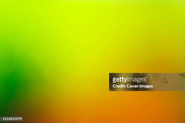 11,263 Neon Green Wallpaper Photos and Premium High Res Pictures - Getty  Images