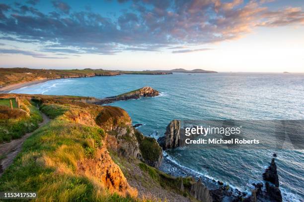the cliffs above whitesands beach on the pembrokeshire coast path near st davids at sunset - st davids stock pictures, royalty-free photos & images