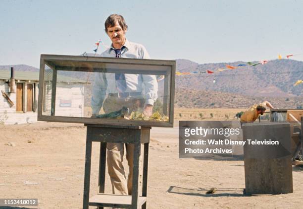 Dennis Weaver appearing in the Steven Spielberg directed ABC tv movie 'Duel', 16948 Vasquez Canyon Road, Canyon Country, California, USA.