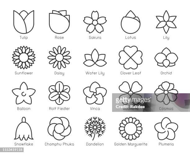 flower - light line icons - daisy petal stock illustrations