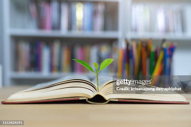 education concept with tree of knowledge planting on opening old big book - investment philosophy stock pictures, royalty-free photos & images