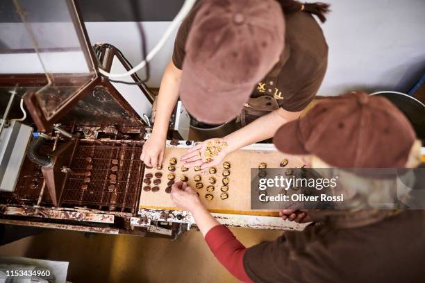 two women in a chocolate manufacture placing walnuts on pralines - fábrica de chocolate fotografías e imágenes de stock