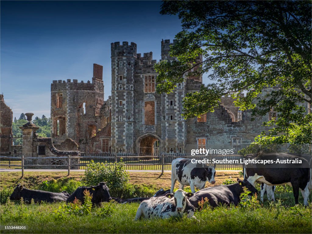 A view of Cowdray house ruins, Midhurst village, west Sussex, England.