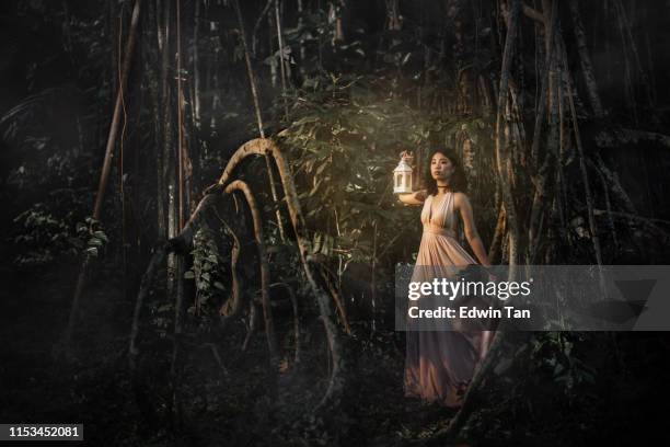 an asian chinese female at the jungle at night holding a lamp looking away - fairy stock pictures, royalty-free photos & images