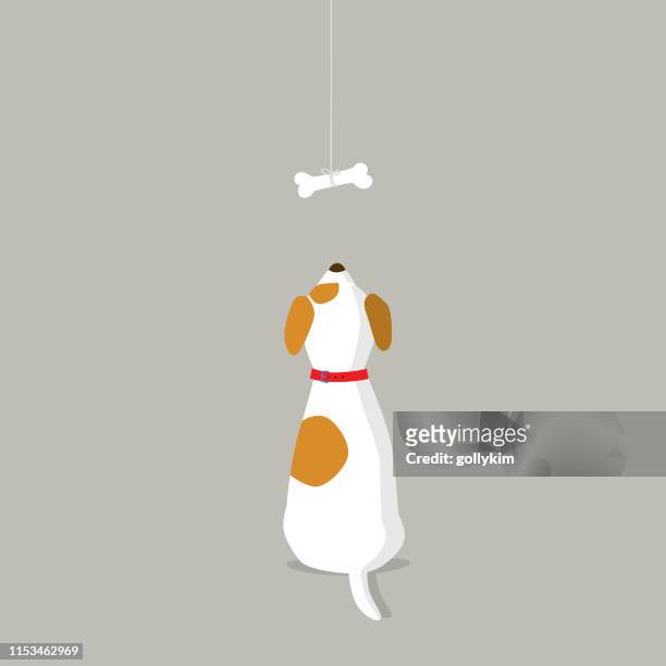 rear view of dog looking at dog bone - looking up stock illustrations