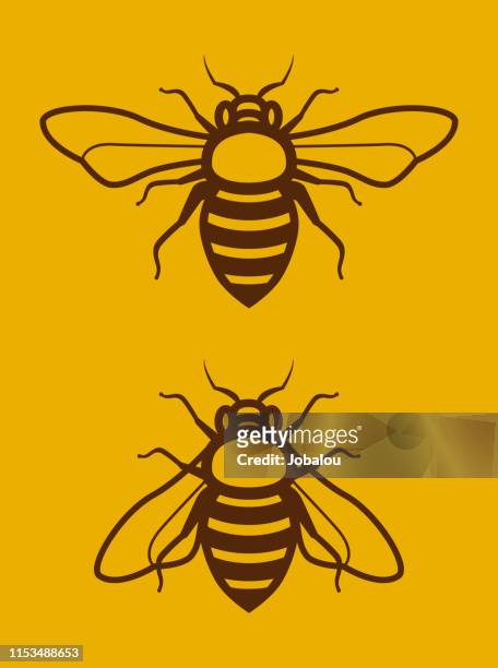 ilustraciones, imágenes clip art, dibujos animados e iconos de stock de dos simple honey bee clip art - apicultura