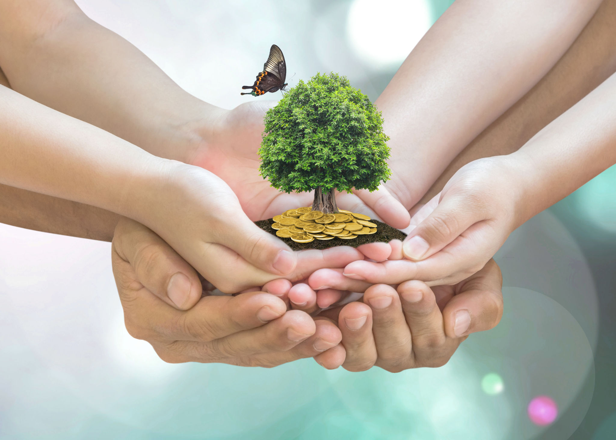 Retirement planning, family financial investment and legacy concept with father parent support children's hands growing tree with wealthy gold coins Retirement planning, family financial investment and legacy concept with father parent support children's hands growing tree with wealthy gold coins