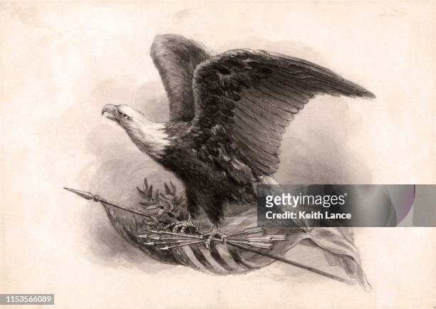 stockillustraties, clipart, cartoons en iconen met amerikaanse kale adelaar, nationale vogel van de v.s. - bald eagle with american flag