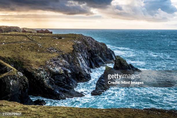 view along the rugged coastline of pembrokeshire national park, wales, uk. - wales winter stock pictures, royalty-free photos & images