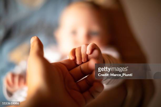 hand holding newborn baby's hand - baby stock pictures, royalty-free photos & images