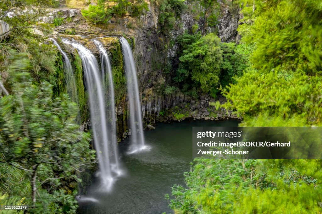 Waterfall Whangarei Falls, Whangarei District, Northland, North Island, New Zealand