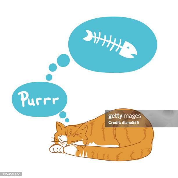 orange tabby cat with fish bubble - tabby stock illustrations