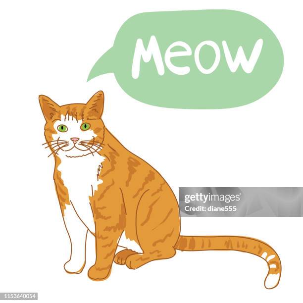 orange tabby cat with meow bubble - tabby stock illustrations