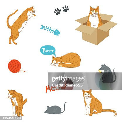 974 White Cartoon Cat Photos and Premium High Res Pictures - Getty Images 974 White Cartoon Cat Photos and Premium High Res Pictures - Getty Images