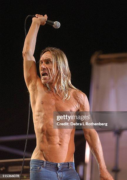 Iggy Pop and The Stooges during Little Steven's Underground Garage Festival Presented by Dunkin' Donuts - Show - August 14, 2004 at Randall's Island...