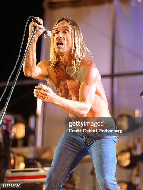 Iggy Pop and The Stooges during Little Steven's Underground Garage Festival Presented by Dunkin' Donuts - Show - August 14, 2004 at Randall's Island...