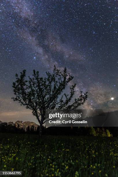 milky way over bavaria - mittenwald stock pictures, royalty-free photos & images