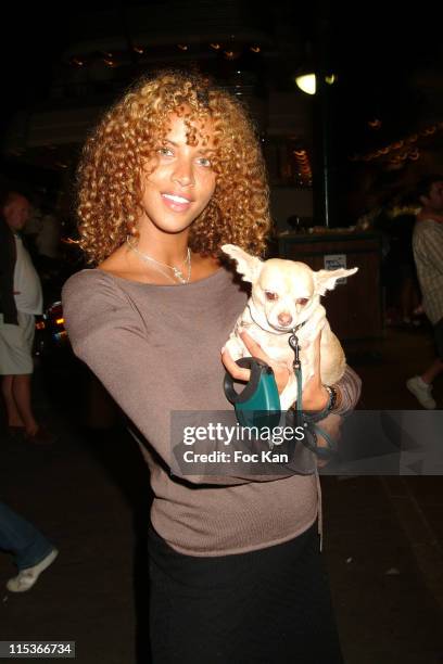 Noemie Lenoir with her dog Nikita during Noemie Lenoir and Chihuahua Nikita at St Tropez Harbor in Saint Tropez, France.