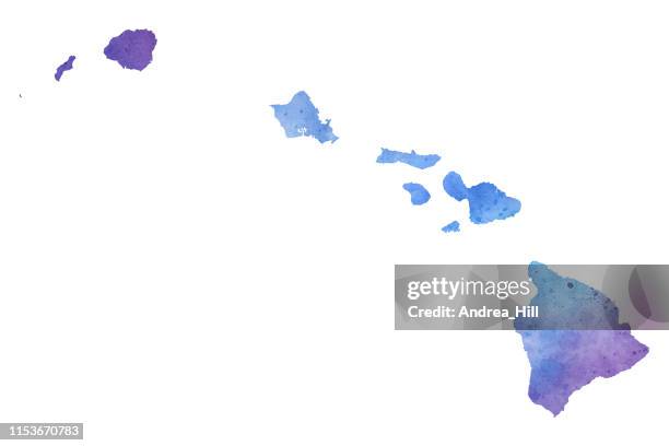 hawaii watercolor raster map illustration - hawaii map stock illustrations