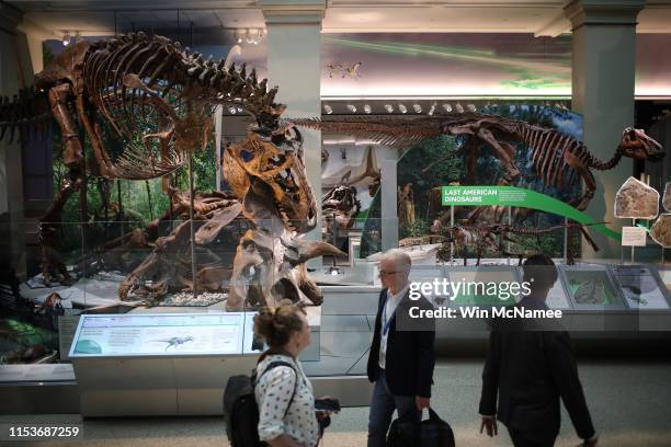 An authentic Tyrannosaurus rex skeleton is displayed during a press preview of the Smithsonian's National Museum of Natural History’s newly reopened...