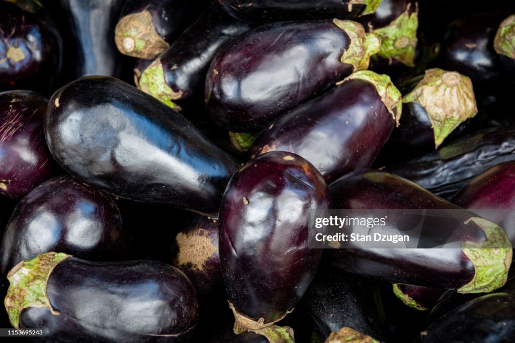Eggplants in Wholesale market