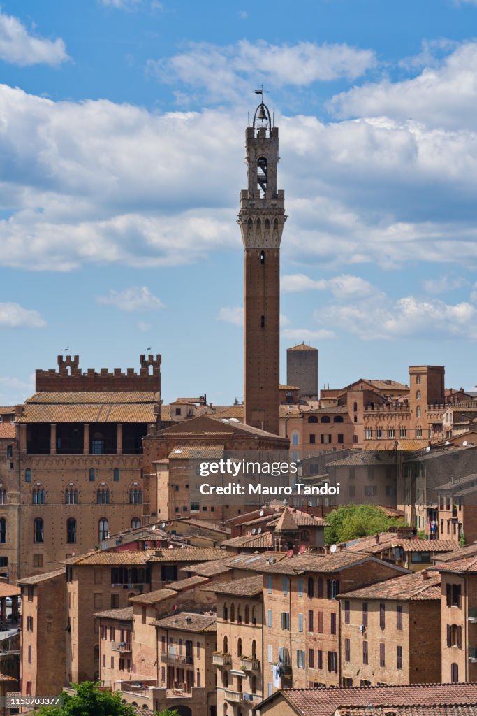 Siena rooftop and its Tower of Mangia (Torre del Mangia), Tuscany