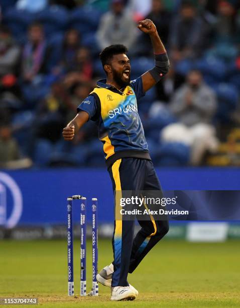 Isuru Udana of Sri Lanka celebrates the run out of Najibullah Zadran of Afghanistan during the Group Stage match of the ICC Cricket World Cup 2019...