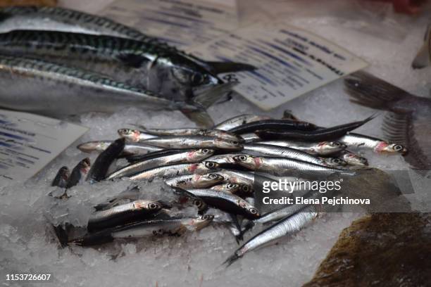 fish market close-up - anjova fotografías e imágenes de stock