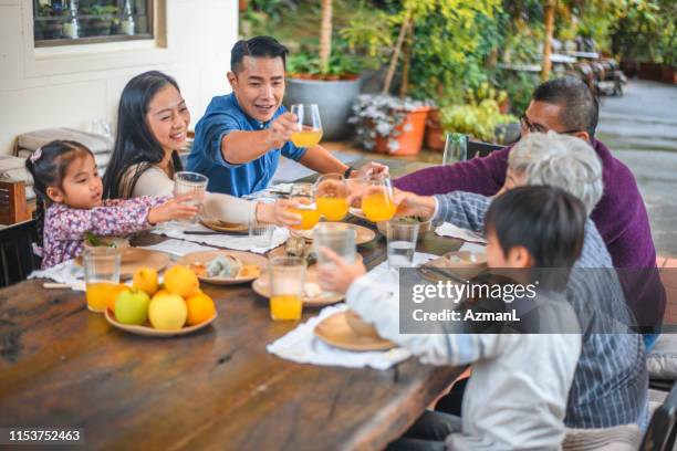 smiling multi-generation family toasting juice - chinese eating backyard stock pictures, royalty-free photos & images