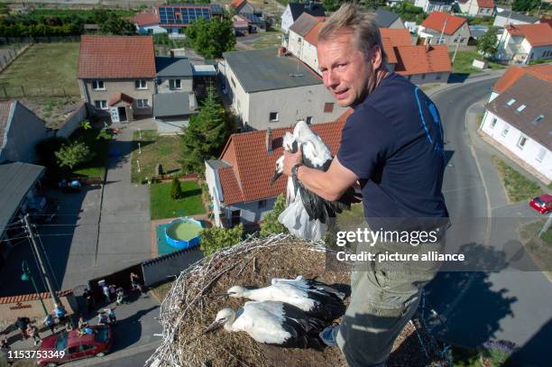 July 2019, Saxony-Anhalt, Libbesdorf: The conservationist and ornithologist Ingolf Todte shows the inhabitants of the village a young animal of a...