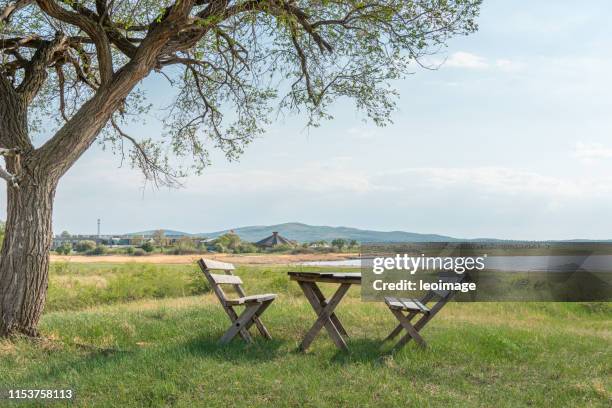 picnic table under the tree - rivier gras oever stockfoto's en -beelden